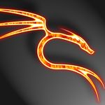 Drache